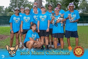 18U Intermediate Champions - Miami Chihuahuas