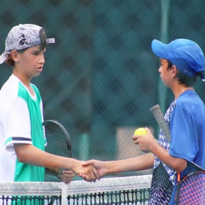 Shaking Hands on the Court