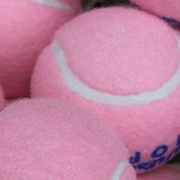 Tennis Briefs: Jacksonville 10 and Under Workshop, ‘Pretty in Pink’ Charity in Clearwater