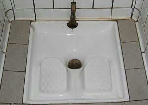 The French "squat toilet"